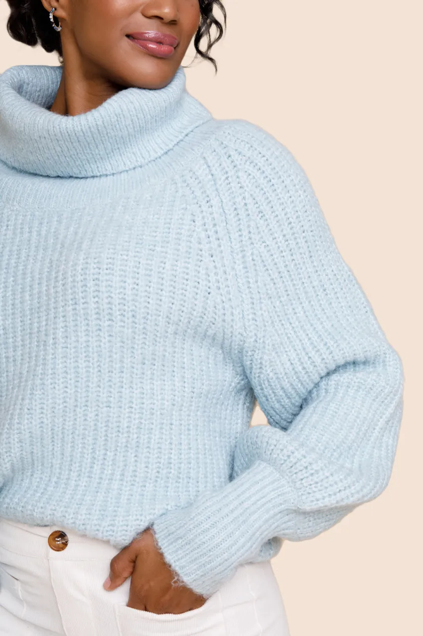 Ash Turtleneck Sweater Pullover - Top Search Result