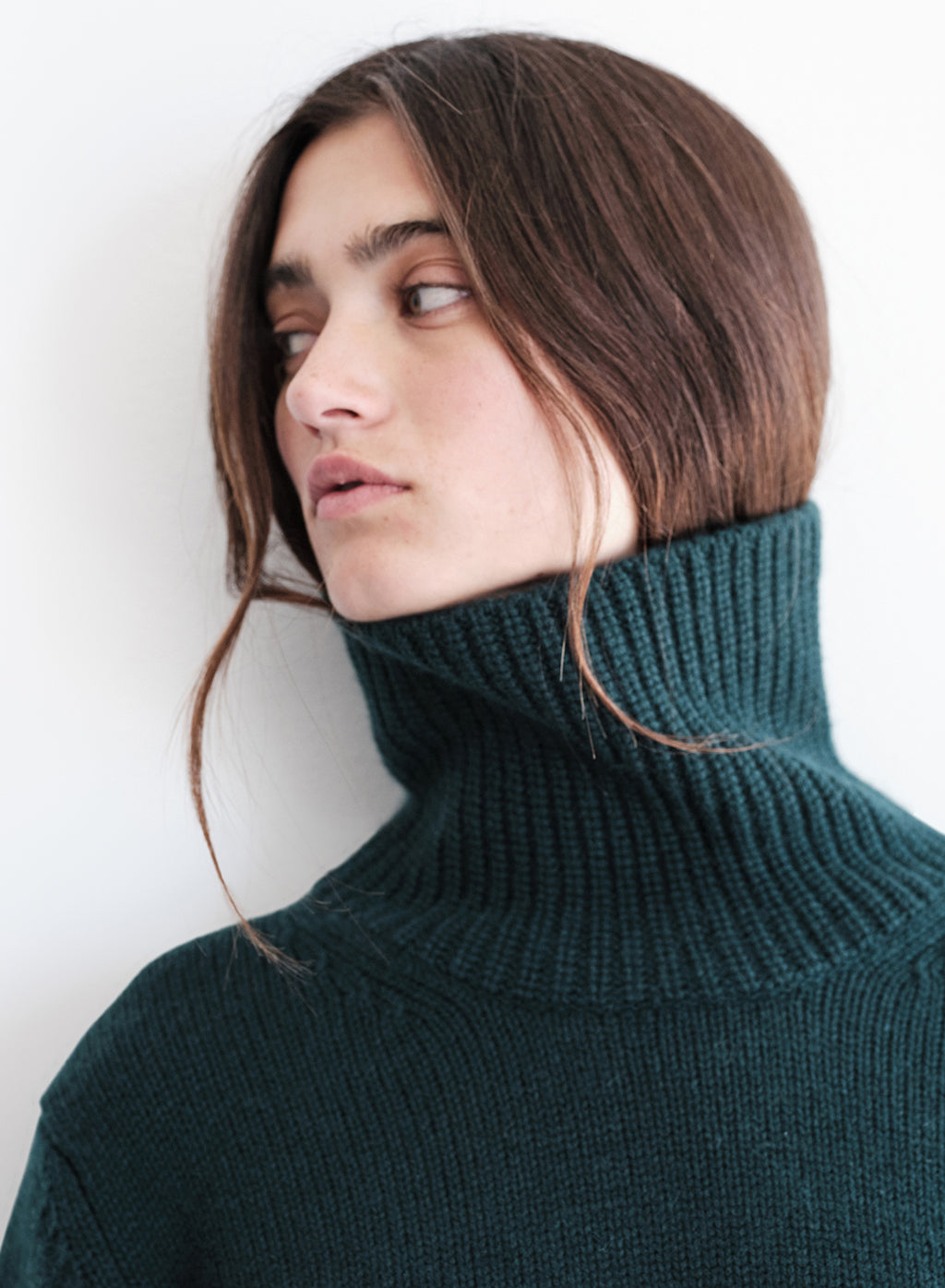 Cashmere Turtleneck Sweater in Rainforest