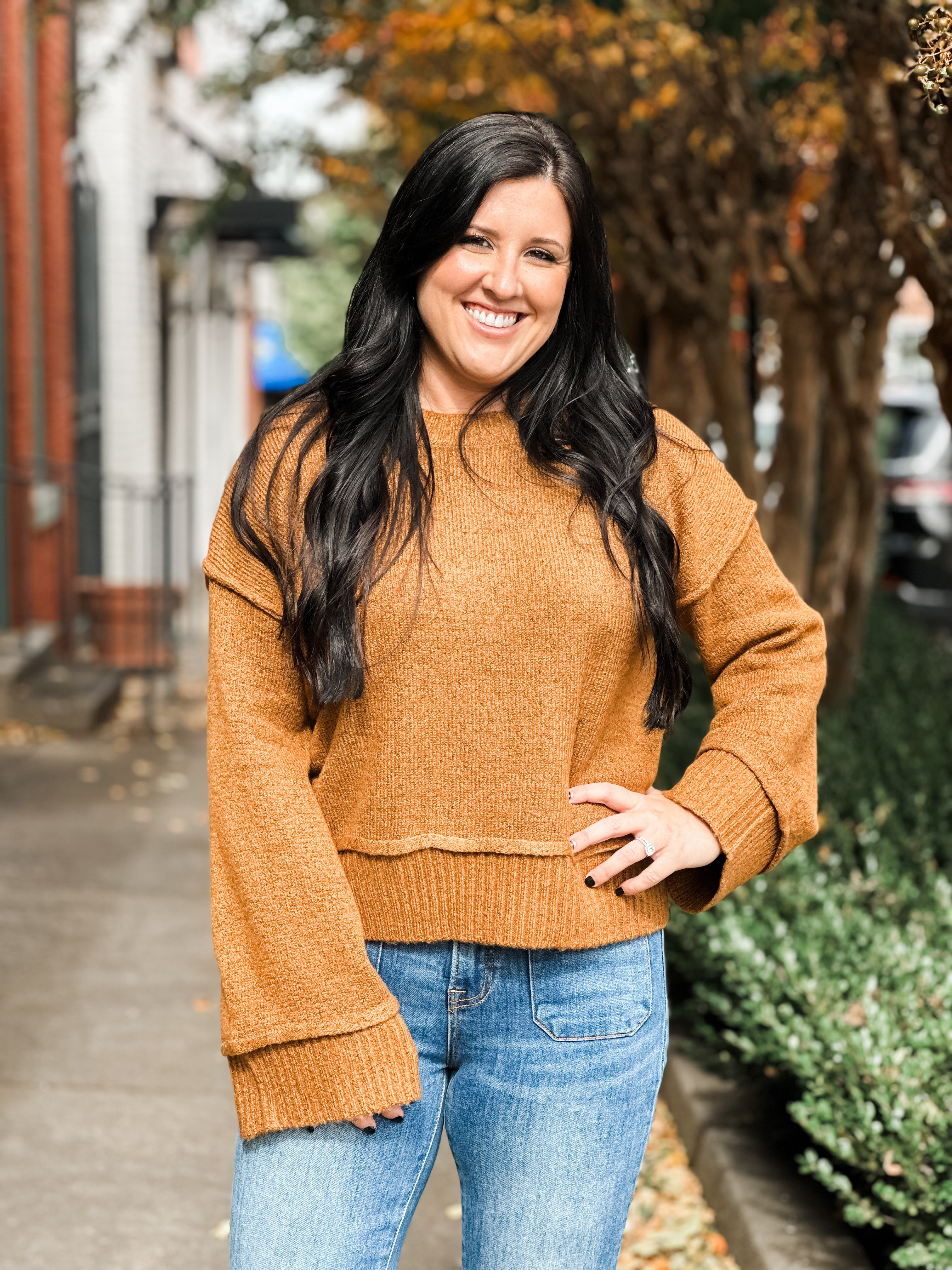 Raleigh Wide Sleeve Sweater