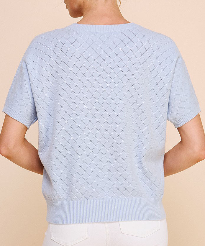 Short Sleeve Powder Blue Pointelle Top