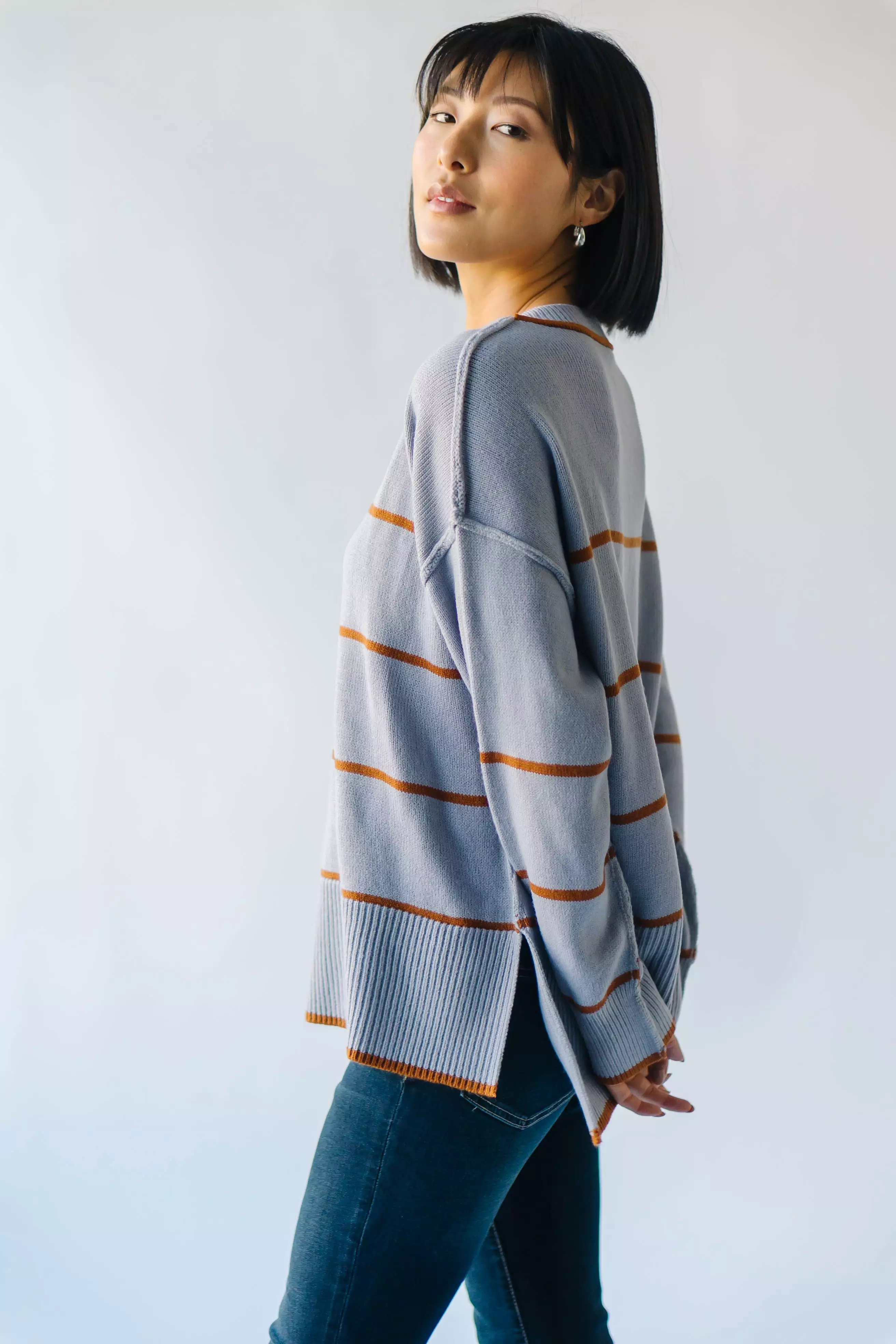 The Blue + Tan Borden Striped Sweater