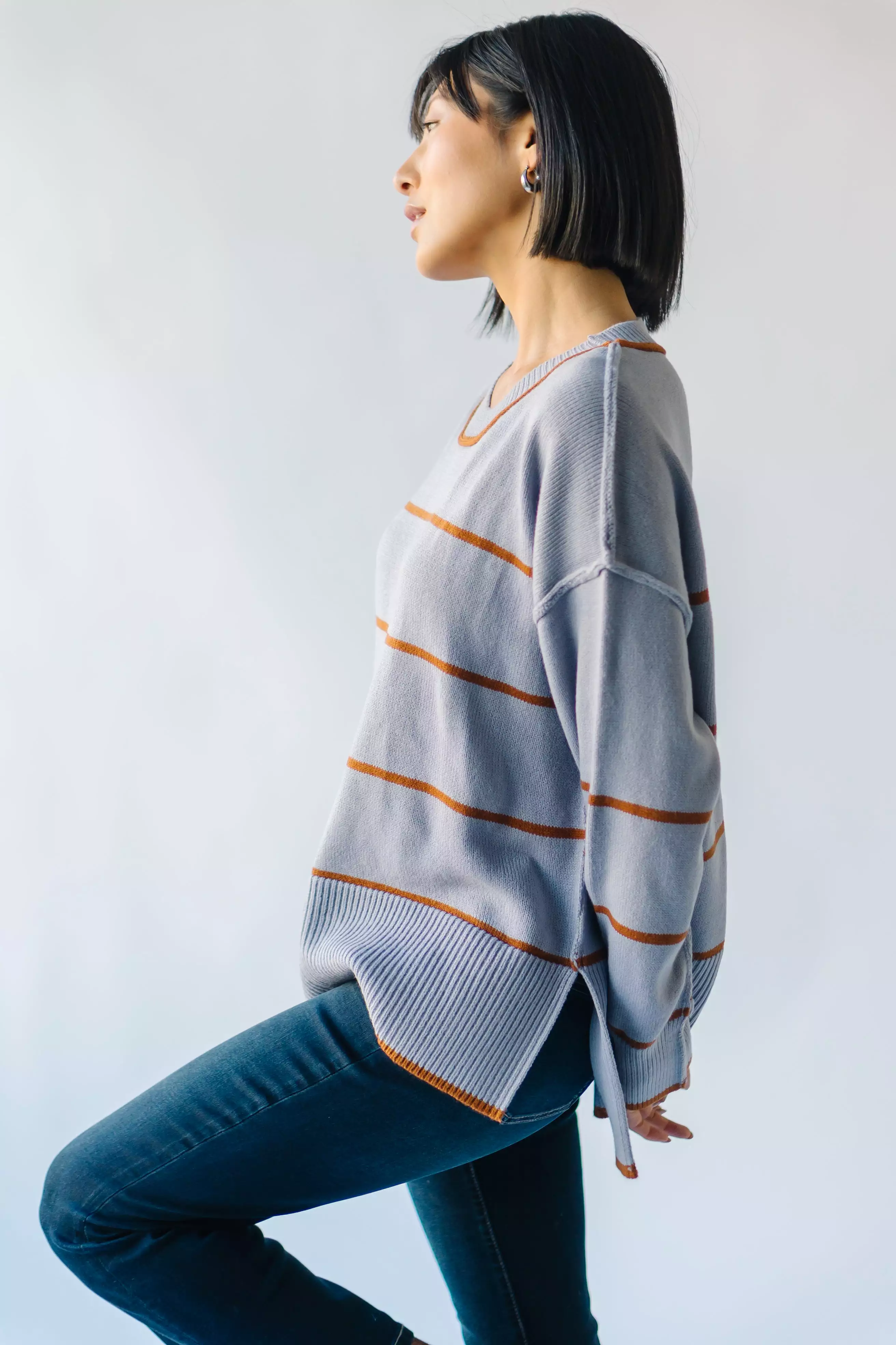 The Blue + Tan Borden Striped Sweater