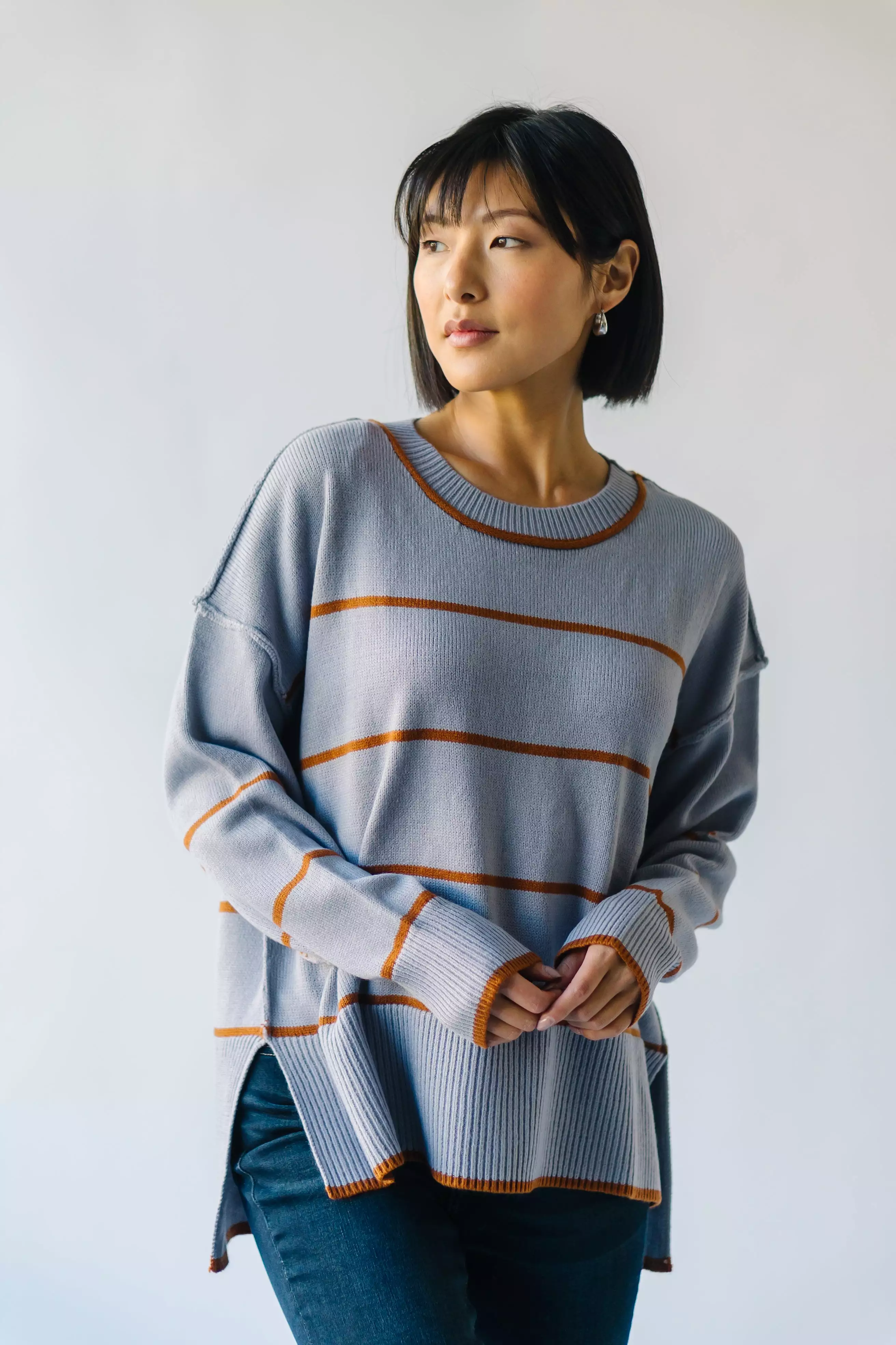 The Blue + Tan Borden Striped Sweater