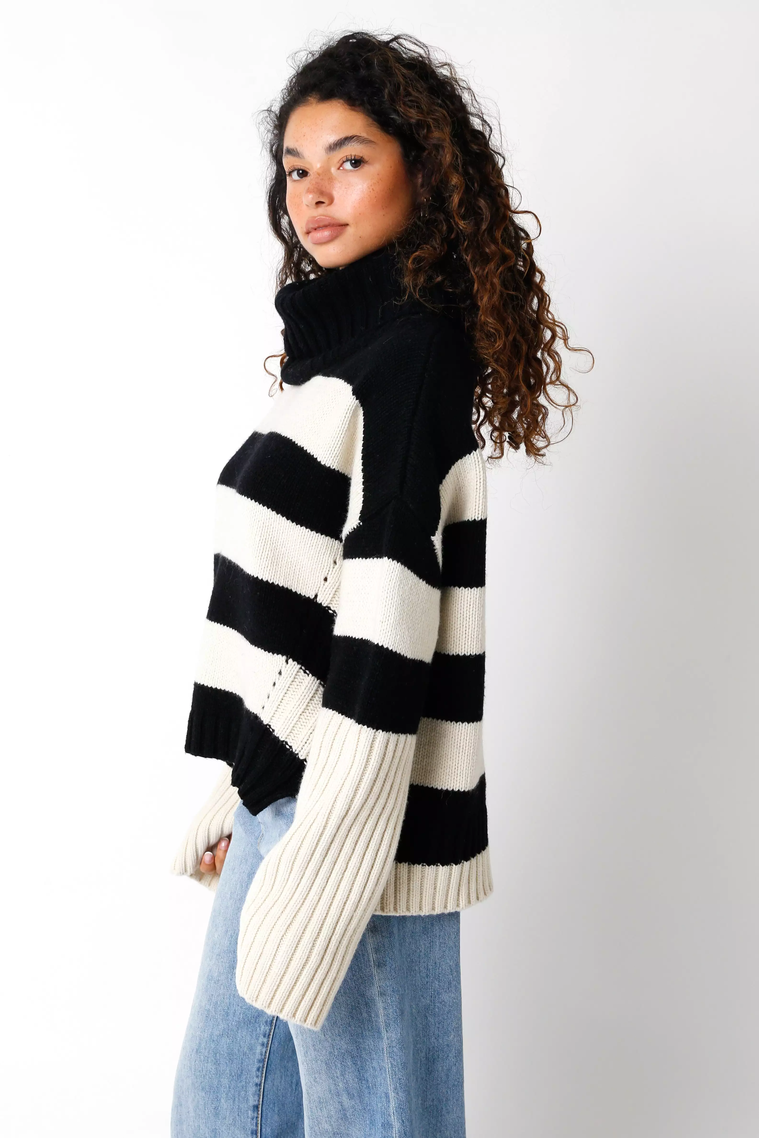 Turtleneck Sweater with Stripes