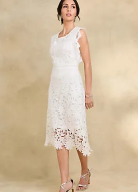 Elegant White Lace Shift Dress by Together | Look Again